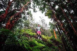 BIB: 
                            <button type="button" onclick="openModal(26201615)" class="btn btn-primary btn-sm float-right btn-popup" data-toggle="modal" data-target=".modal-high-quality">
                        <i class="fas fa-shopping-cart"></i> Add to Cart
                    </button>
                                            <button type="button" onclick="isThisMe(26201615, true)" class="btn btn-success btn-sm float-right btn-popup btn-isme hidden" data-toggle="tooltip" data-placement="bottom" title="นี่คือรูปของคุณใช่ไหม คลิกที่นี่เพื่อเอาเข้าอัลบั้ม">
                        <i class="fas fa-plus"></i> Add to album
                    </button>
                    <button type="button" onclick="isThisMe(26201615, false)" class="btn btn-warning btn-sm float-right btn-popup btn-isnotme hidden">
                        <i class="fas fa-ban"></i> Remove from album
                    </button>